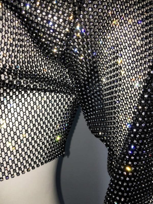 fishnet crop top long sleeve