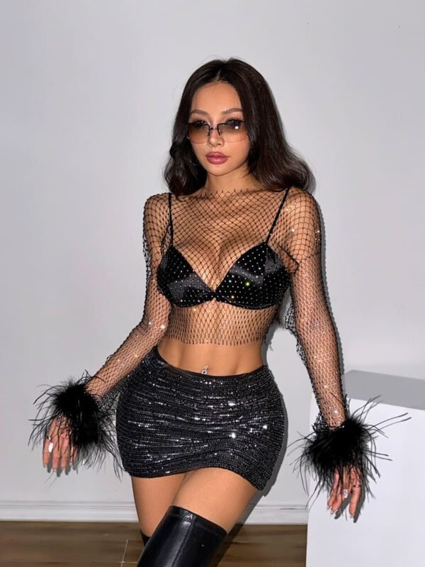 see through mesh crop top long sleeve